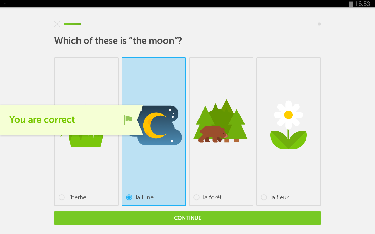 Почему дуолинго грустный. Дуолинго тест. Фальстаф Дуолинго. Дуолинго баллы. Duolingo Test структура.